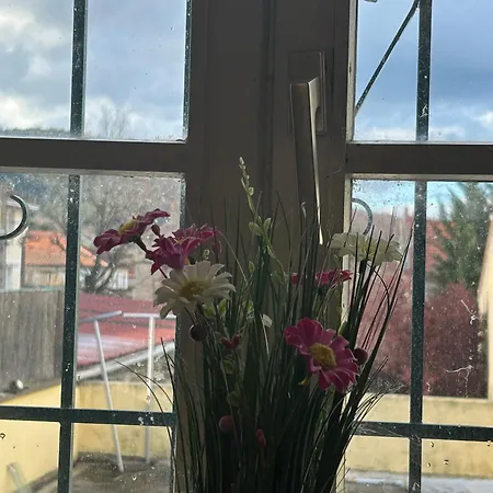 Duplex Vintage Proche De La Gare Sncf *